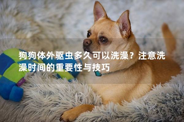 狗狗体外驱虫多久可以洗澡？注意洗澡时间的重要性与技巧