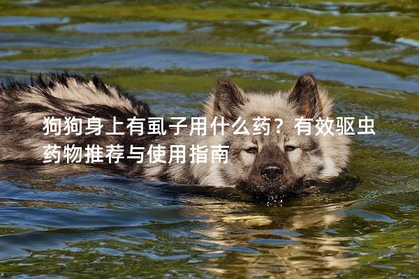 狗狗身上有虱子用什么药？有效驱虫药物推荐与使用指南