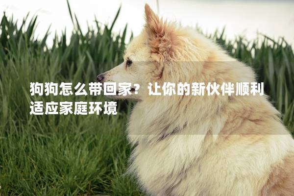 狗狗怎么带回家？让你的新伙伴顺利适应家庭环境