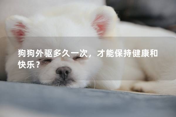 狗狗外驱多久一次，才能保持健康和快乐？