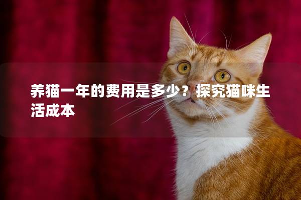 养猫一年的费用是多少？探究猫咪生活成本