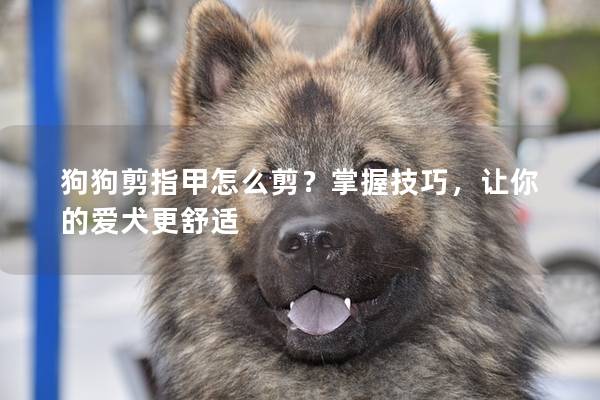 狗狗剪指甲怎么剪？掌握技巧，让你的爱犬更舒适