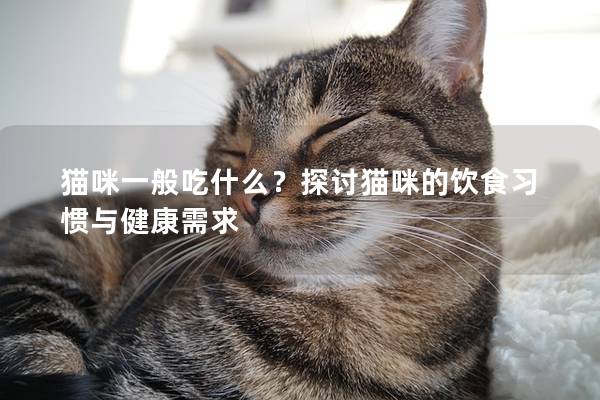 猫咪一般吃什么？探讨猫咪的饮食习惯与健康需求