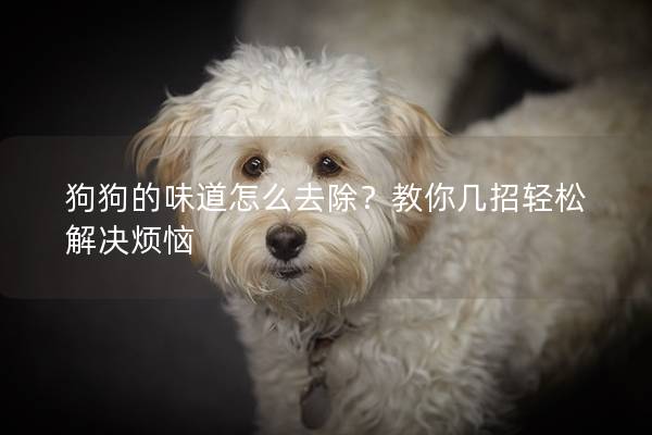 狗狗的味道怎么去除？教你几招轻松解决烦恼