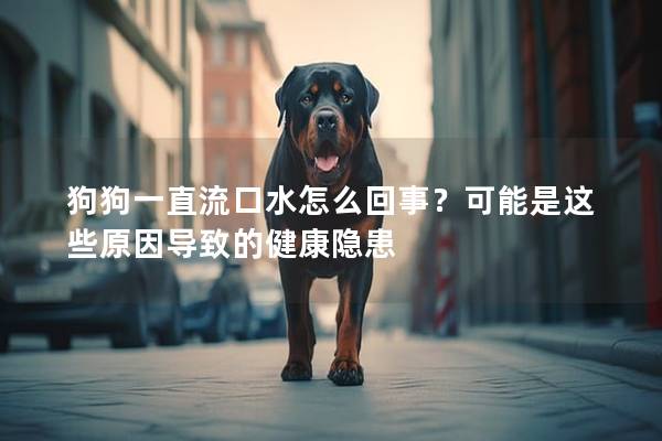狗狗一直流口水怎么回事？可能是这些原因导致的健康隐患