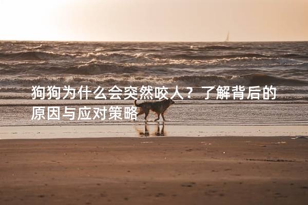 狗狗为什么会突然咬人？了解背后的原因与应对策略