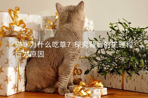 猫咪为什么吃草？探究背后的生理和行为原因
