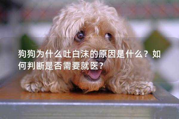 狗狗为什么吐白沫的原因是什么？如何判断是否需要就医？