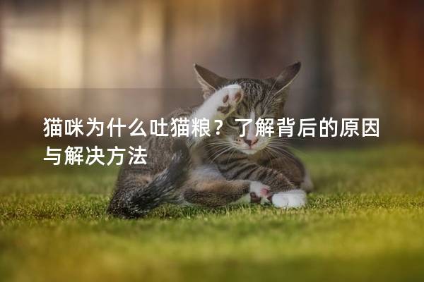 猫咪为什么吐猫粮？了解背后的原因与解决方法