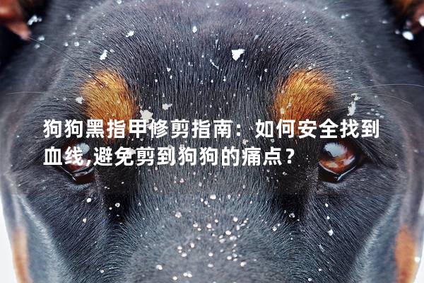 狗狗黑指甲修剪指南：如何安全找到血线,避免剪到狗狗的痛点？