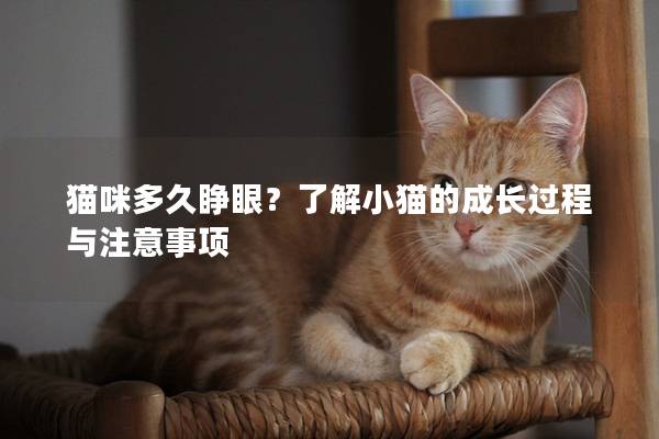 猫咪多久睁眼？了解小猫的成长过程与注意事项