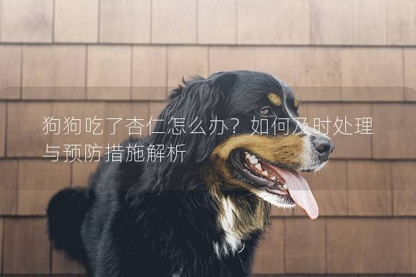 狗狗吃了杏仁怎么办？如何及时处理与预防措施解析