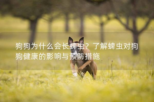 狗狗为什么会长蜱虫？了解蜱虫对狗狗健康的影响与预防措施
