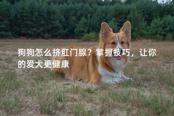 狗狗怎么挤肛门腺？掌握技巧，让你的爱犬更健康