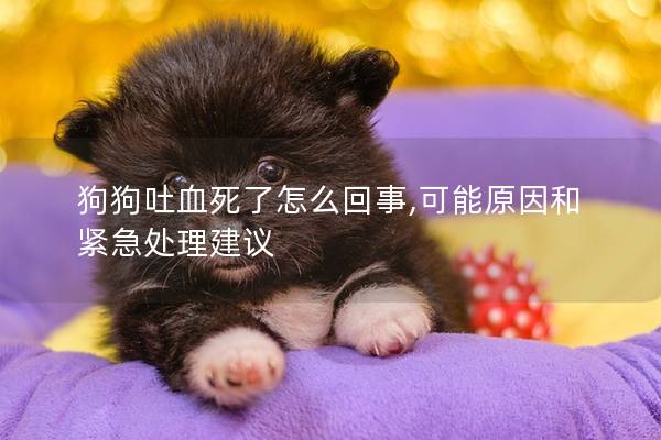 狗狗吐血死了怎么回事,可能原因和紧急处理建议