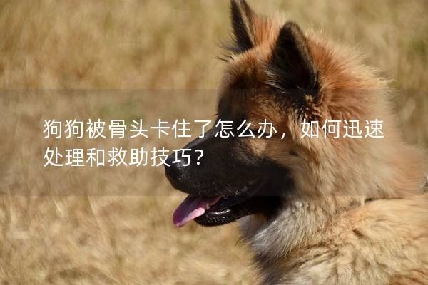 狗狗被骨头卡住了怎么办，如何迅速处理和救助技巧？