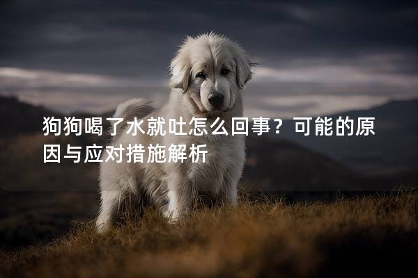 狗狗喝了水就吐怎么回事？可能的原因与应对措施解析