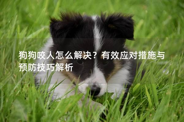 狗狗咬人怎么解决？有效应对措施与预防技巧解析