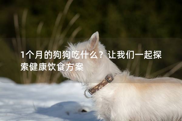 1个月的狗狗吃什么？让我们一起探索健康饮食方案