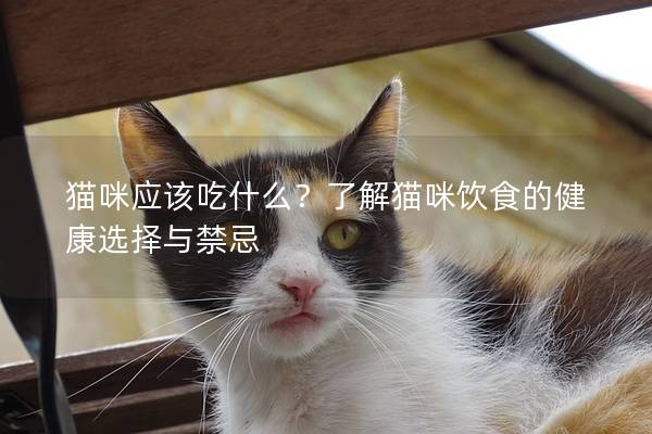 猫咪应该吃什么？了解猫咪饮食的健康选择与禁忌