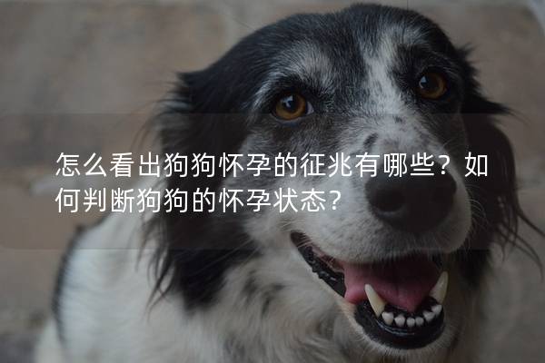 怎么看出狗狗怀孕的征兆有哪些？如何判断狗狗的怀孕状态？