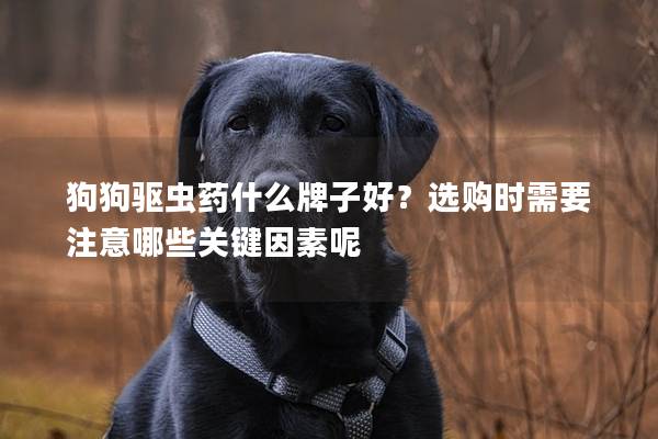 狗狗驱虫药什么牌子好？选购时需要注意哪些关键因素呢