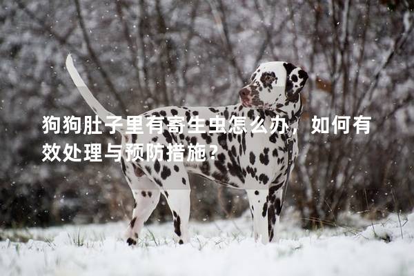 狗狗肚子里有寄生虫怎么办，如何有效处理与预防措施？