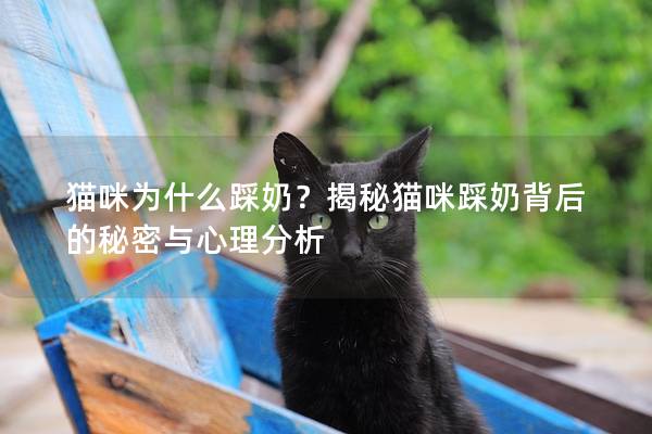 猫咪为什么踩奶？揭秘猫咪踩奶背后的秘密与心理分析