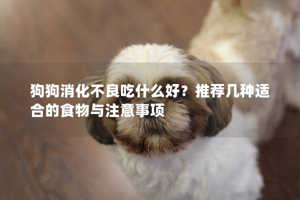 狗狗消化不良吃什么好？推荐几种适合的食物与注意事项