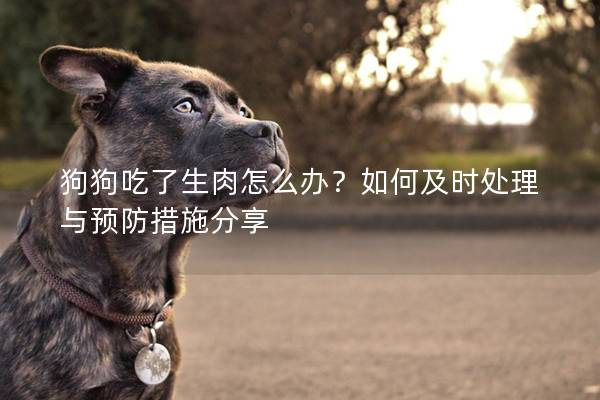 狗狗吃了生肉怎么办？如何及时处理与预防措施分享
