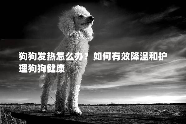狗狗发热怎么办？如何有效降温和护理狗狗健康
