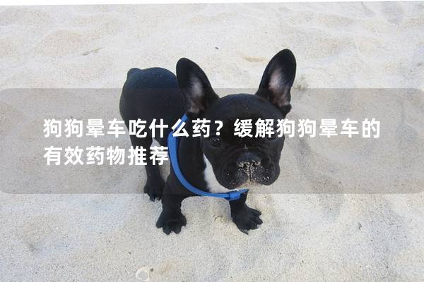 狗狗晕车吃什么药？缓解狗狗晕车的有效药物推荐