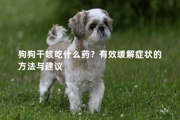 狗狗干咳吃什么药？有效缓解症状的方法与建议