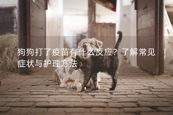 狗狗打了疫苗有什么反应？了解常见症状与护理方法