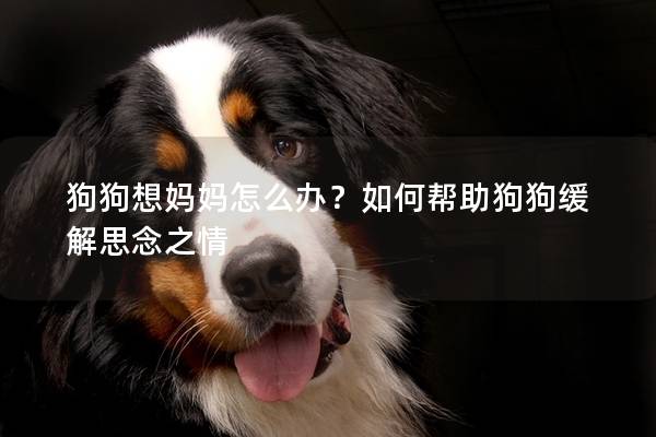 狗狗想妈妈怎么办？如何帮助狗狗缓解思念之情