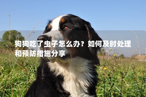 狗狗吃了虫子怎么办？如何及时处理和预防措施分享
