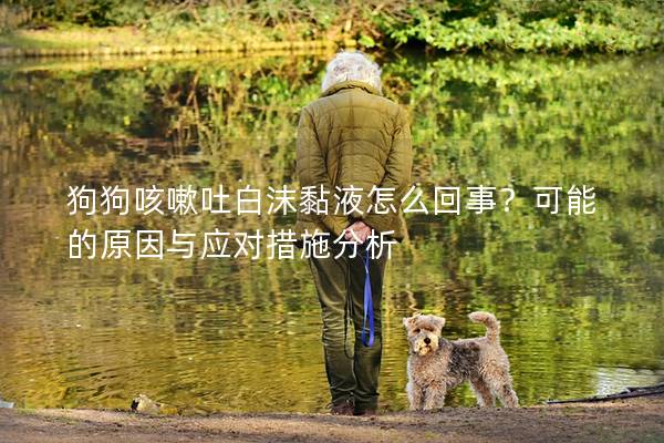 狗狗咳嗽吐白沫黏液怎么回事？可能的原因与应对措施分析
