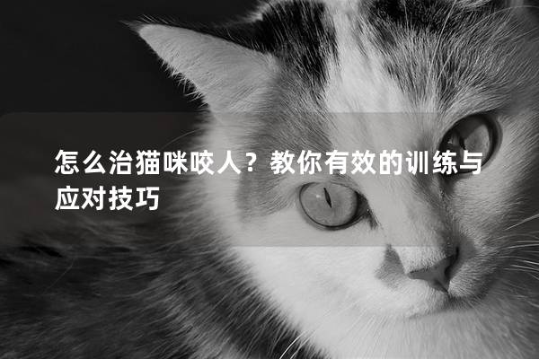 怎么治猫咪咬人？教你有效的训练与应对技巧