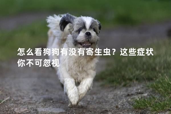 怎么看狗狗有没有寄生虫？这些症状你不可忽视