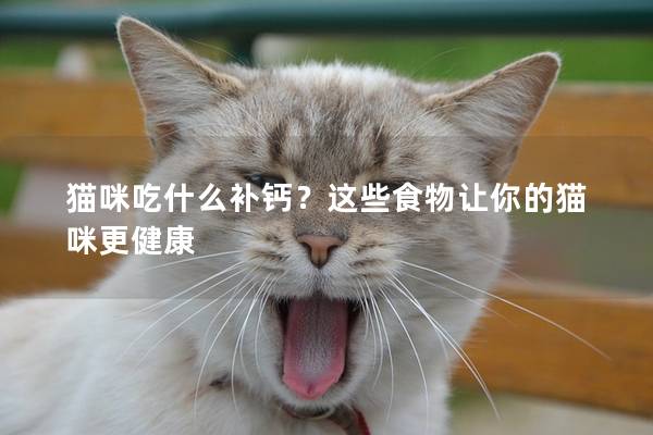 猫咪吃什么补钙？这些食物让你的猫咪更健康