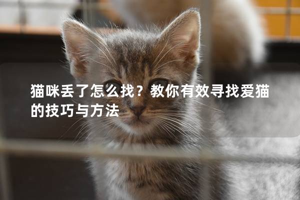 猫咪丢了怎么找？教你有效寻找爱猫的技巧与方法