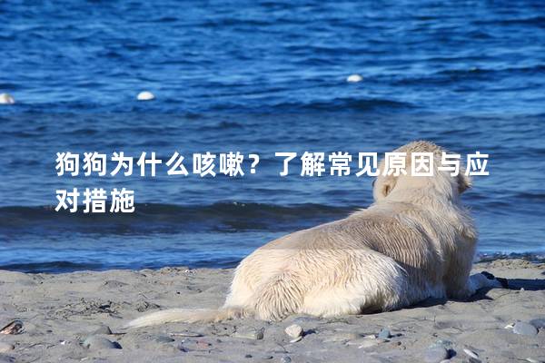 狗狗为什么咳嗽？了解常见原因与应对措施