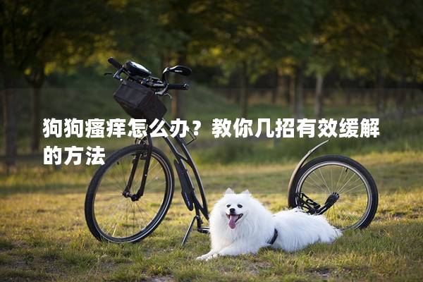 狗狗瘙痒怎么办？教你几招有效缓解的方法