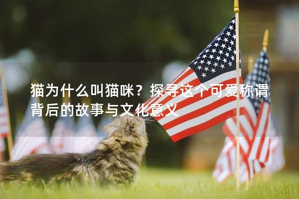猫为什么叫猫咪？探寻这个可爱称谓背后的故事与文化意义