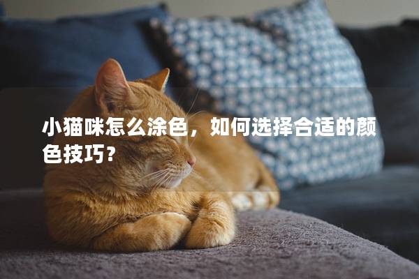 小猫咪怎么涂色，如何选择合适的颜色技巧？