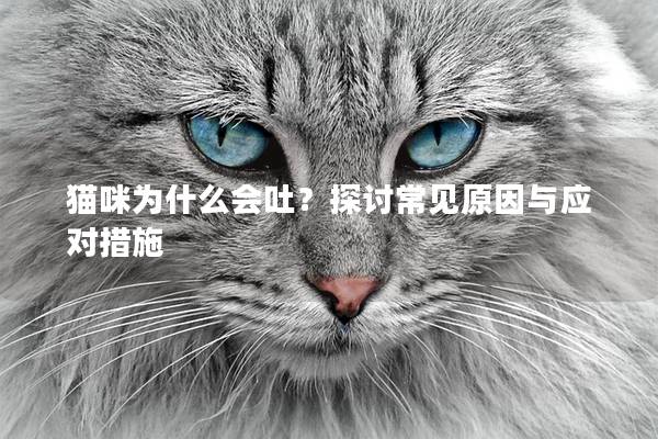 猫咪为什么会吐？探讨常见原因与应对措施