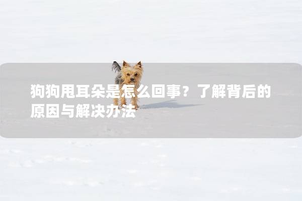 狗狗甩耳朵是怎么回事？了解背后的原因与解决办法