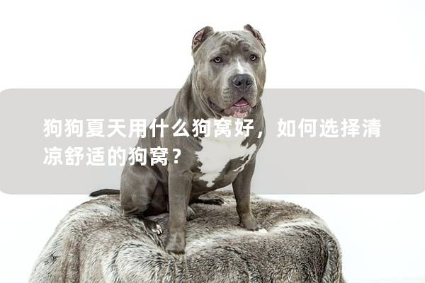 狗狗夏天用什么狗窝好，如何选择清凉舒适的狗窝？