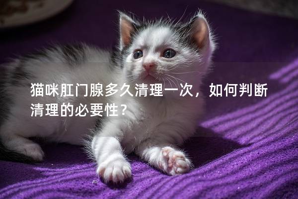 猫咪肛门腺多久清理一次，如何判断清理的必要性？