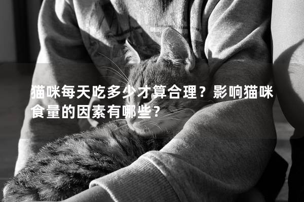 猫咪每天吃多少才算合理？影响猫咪食量的因素有哪些？